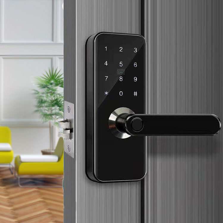 Unlocking a Fingerprint Smart Door Lock: Beyond the Fingerprint