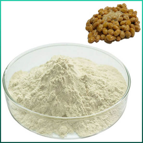 Key features and applications of enzyme preparations