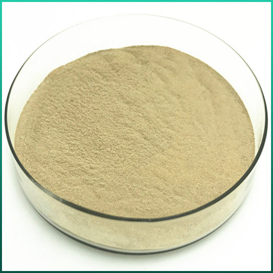 cellulase_917825.jpg