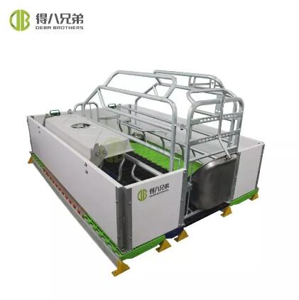 Enhancing Welfare: The Role of European-Style Farrowing Crates for Sows and Piglets