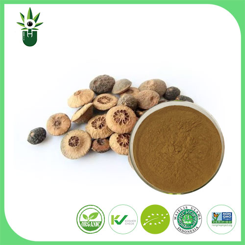 Methods and Solvents Used in the Extraction of Citrus Aurantium Extract: Impact on Quality and Purity