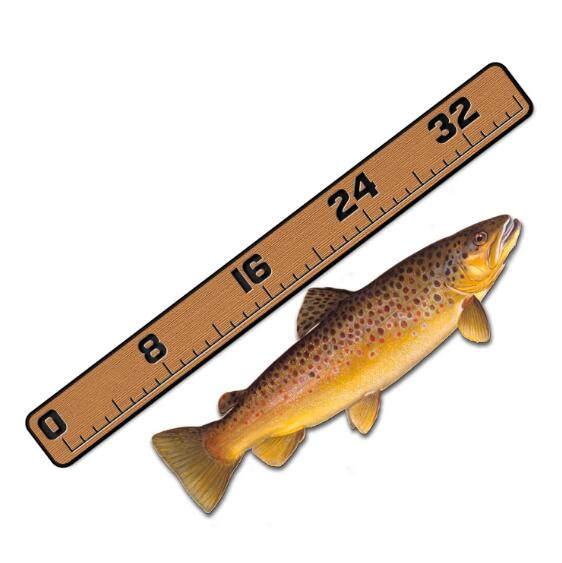 What is an EVA Fish Ruler? A Comprehensive Guide for Anglers