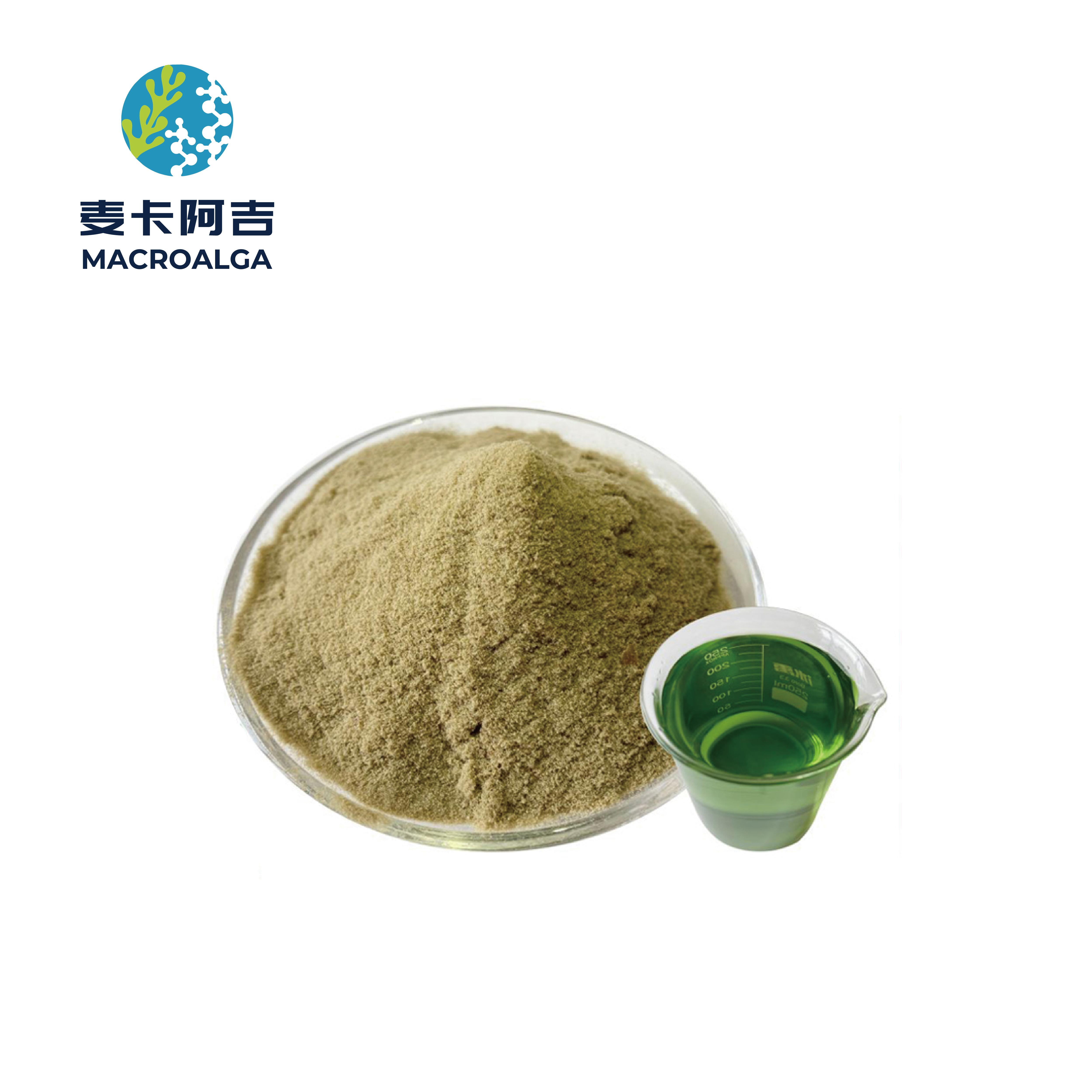 China Seaweed Fertilizer: Highly Recommended for Organic Gardening